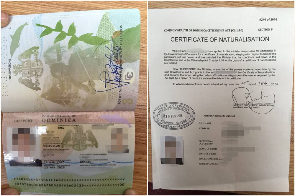 多米尼克护照助力Z先生完成公司税务规划,成功规避CRS