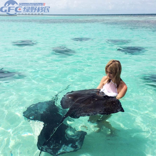 Stingray City