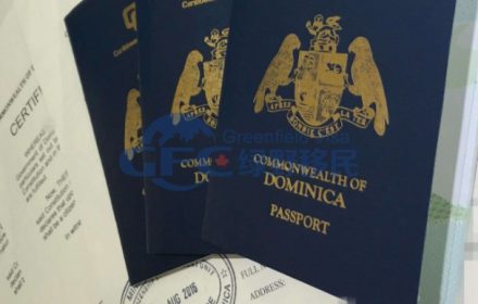 多米尼克护照助力Z先生完成公司税务规划，成功规避CRS