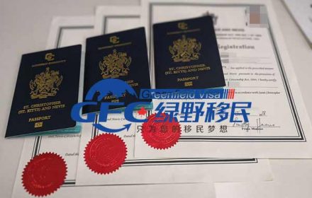 为全球资产配置，S女士一家申请圣基茨护照