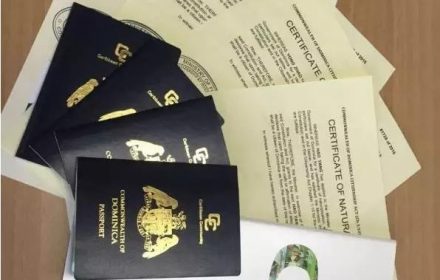 Z先生为公司上市办理多米尼克移民