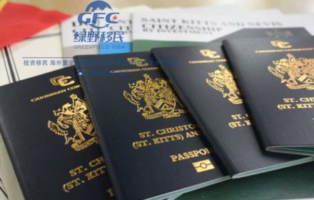 留学夫妇为了孩子申请国际学校方便移民圣基茨