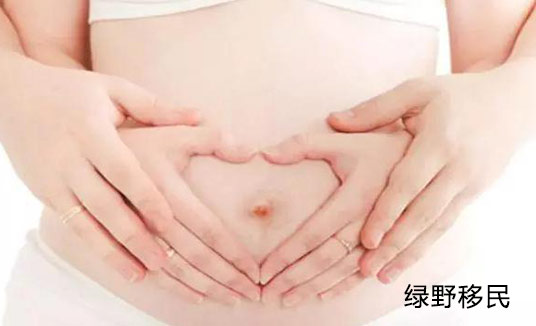赴美生子