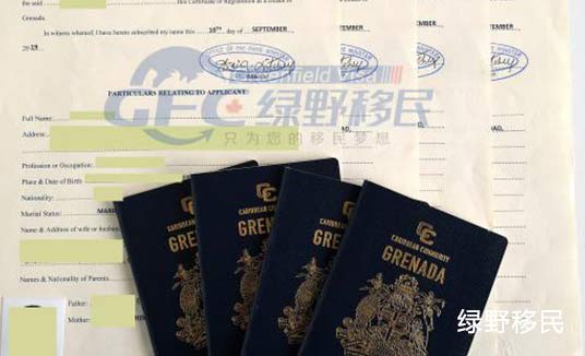 格林纳达移民成功案例