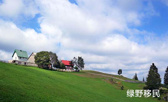 黑山移民