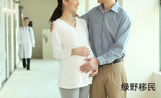 到美国生孩子