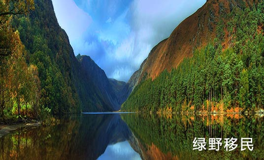 爱尔兰投资移民政策