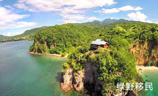 多米尼克护照