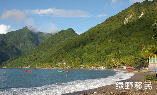 快速移民多米尼克