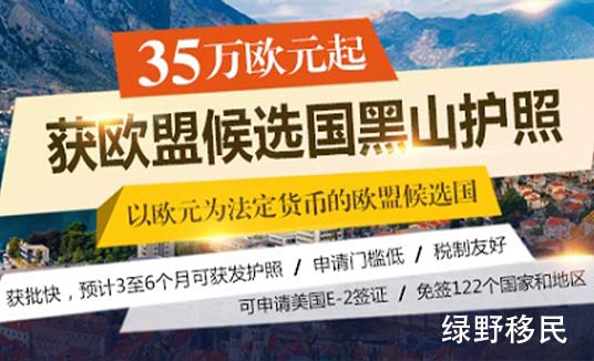 黑山移民多少钱