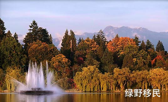加拿大留学移民多少钱