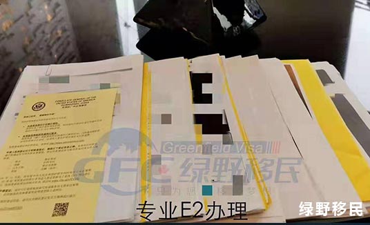 美国E2签证成功获批案例