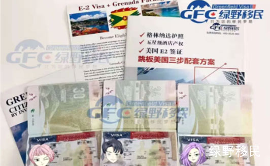 美国“小绿卡”— E2签证