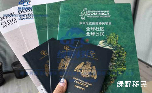 100万人民币就可搞定的移民项目