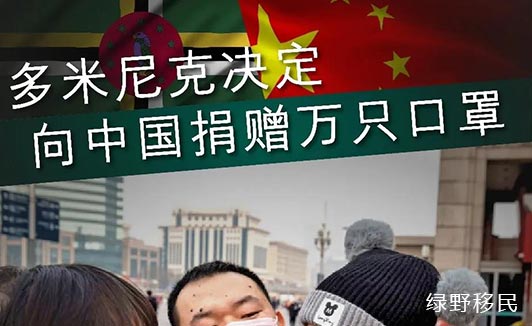 米尼克移民项目
