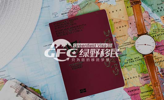 塞浦路斯护照