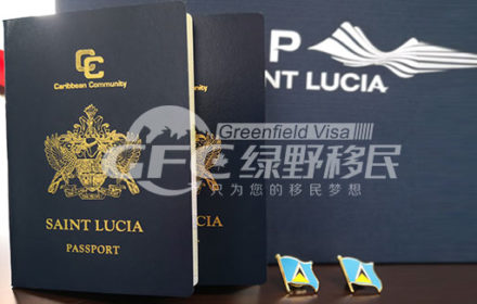 圣卢西亚护照解决C先生出行与税务规划问题
