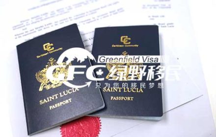 疫情期间，L女士选择了全程线上办理的圣卢西亚移民