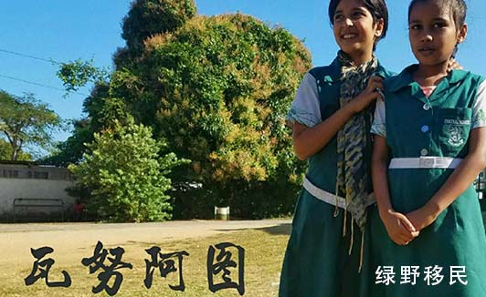 瓦努阿图经济公民计划的历史