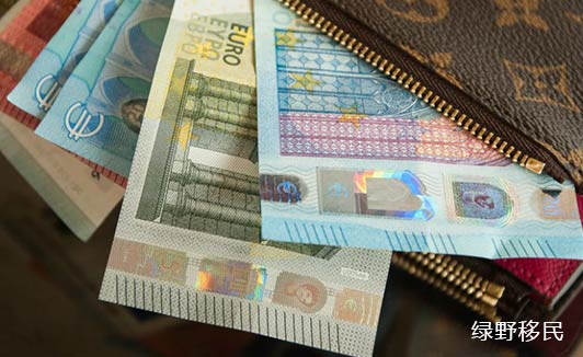 E2签证2020财年批准量下滑47%
