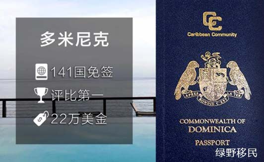 2021年进入外籍学校的三个最佳护照
