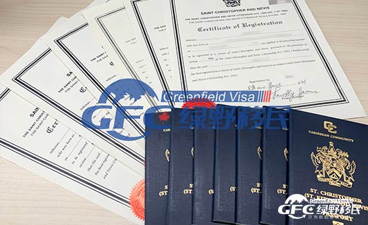 圣卢西亚移民在2021年深受中国投资人喜爱