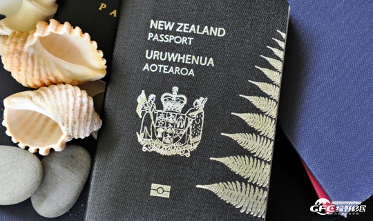 nz-24032802.jpg