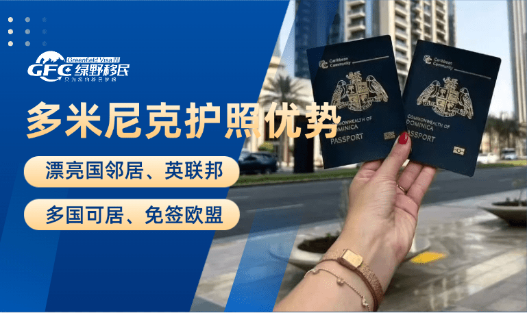 多米尼克护照优势1