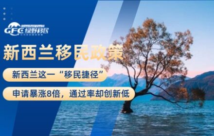 新西兰这一“移民捷径”：申请暴涨8倍，通过率却创新低