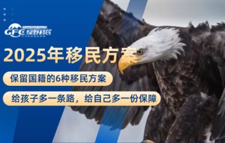 2025年保留国籍的6种移民方案