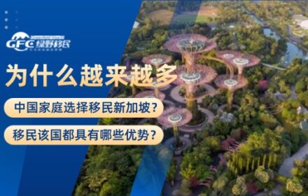 为什么越来越多中国家庭选择移民新加坡？