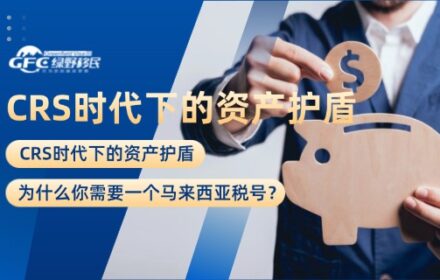 CRS时代下的资产护盾：为什么你需要一个马来西亚税号？
