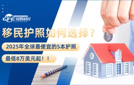 2025年全球最便宜的5本移民护照，最低8万美元起！！