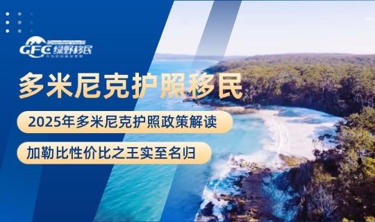 多米尼克护照2