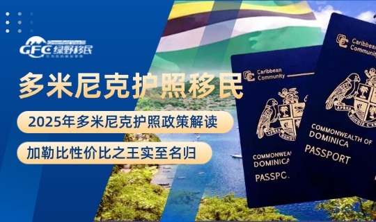 多米尼克护照1