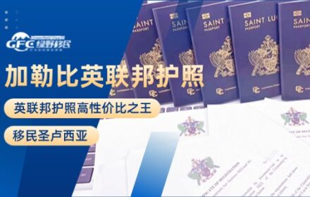 加勒比海英联邦护照高性价比之王——移民圣卢西亚