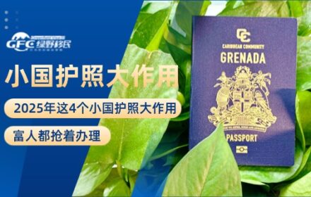 2025年这4个小国护照大作用，富人都抢着办理