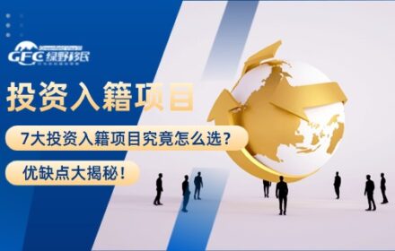 7大投资入籍项目究竟怎么选？优缺点大揭秘！
