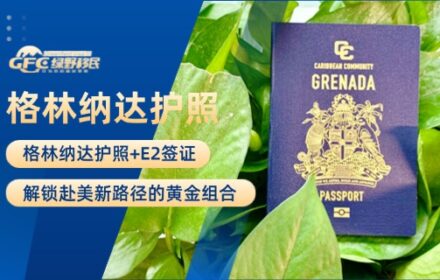 格林纳达护照+E2签证：解锁赴美新路径的黄金组合