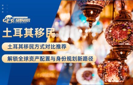 土耳其移民方式对比推荐：解锁全球资产配置与身份规划新路径