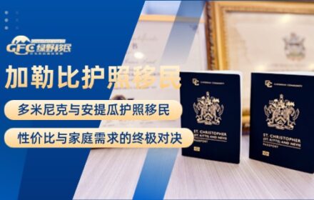 多米尼克与安提瓜护照移民：性价比与家庭需求的终极对决
