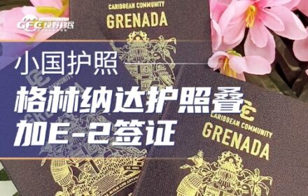 格林纳达护照叠加E-2签证：高净值家庭赴美的务实路径