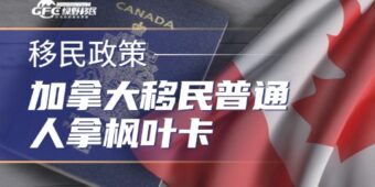 2026年加拿大移民普通人拿枫叶卡只剩两条路：雇主担保+钞能力