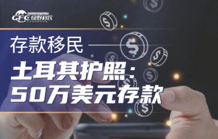 土耳其护照全解析：50万美元存款3年，一步到位拿G20大国护照